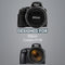 MegaGear Nikon Coolpix P1000 Ever Ready Leather Camera Half Case and Strap